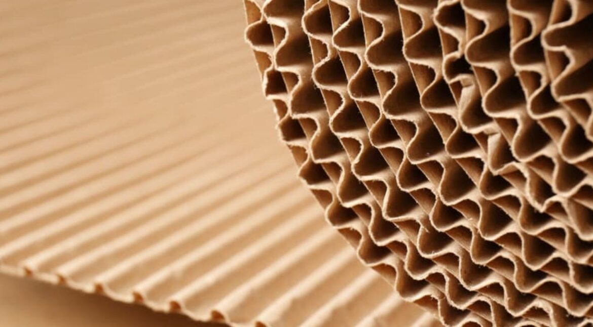 SCG International offers diverse quality sustainable kraft paper solutions.