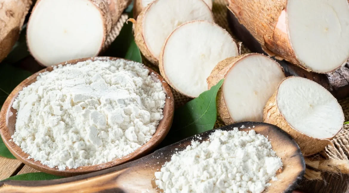 tapioca-and-cassava-starch-supplier