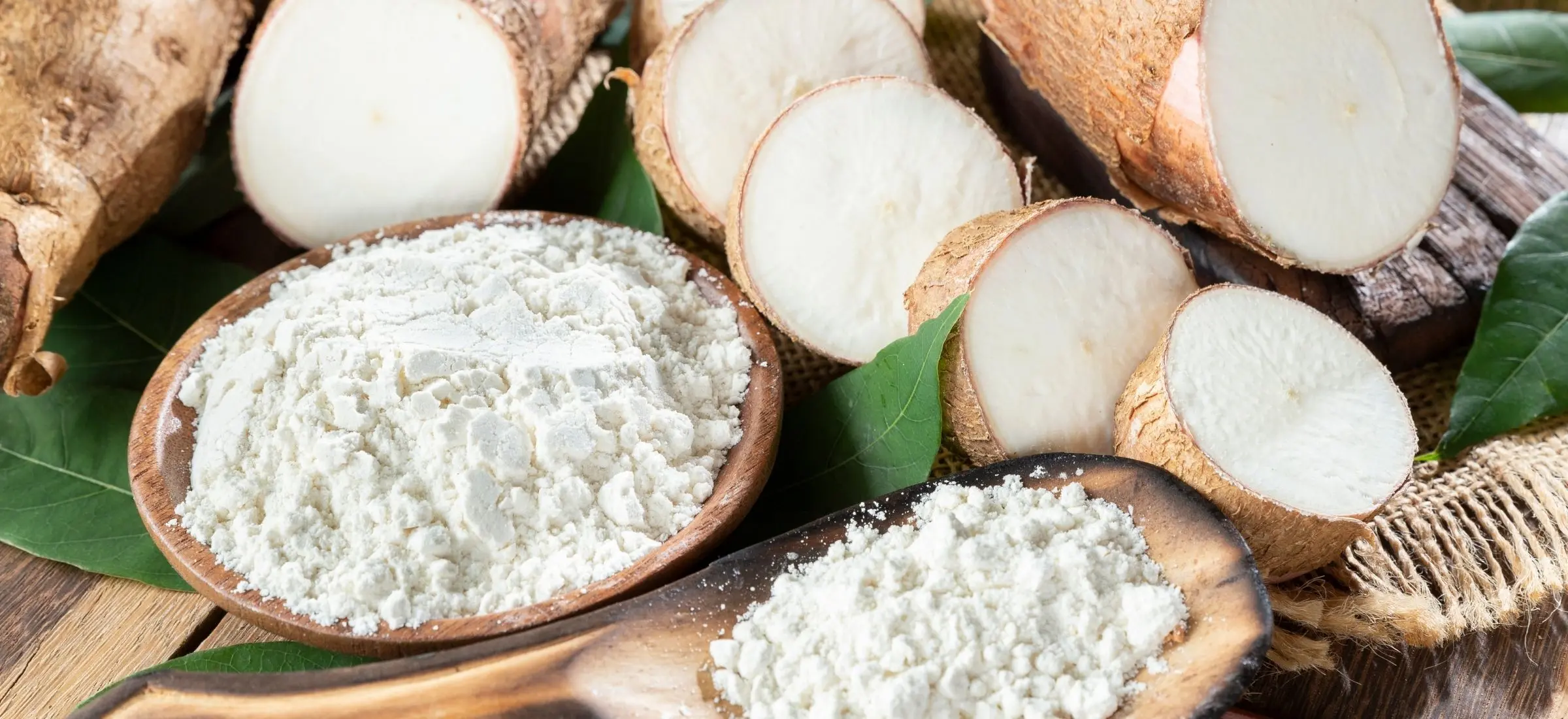 tapioca-and-cassava-starch-supplier