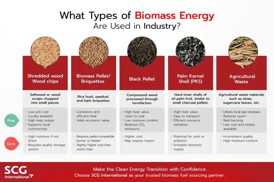 What types of biomass fuel are used in industry