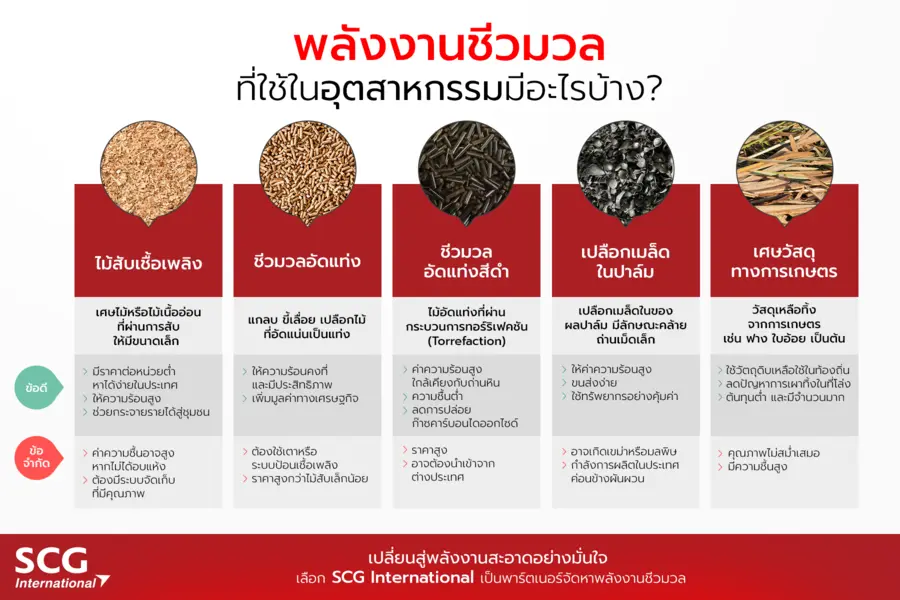 What types of biomass fuel are used in industries