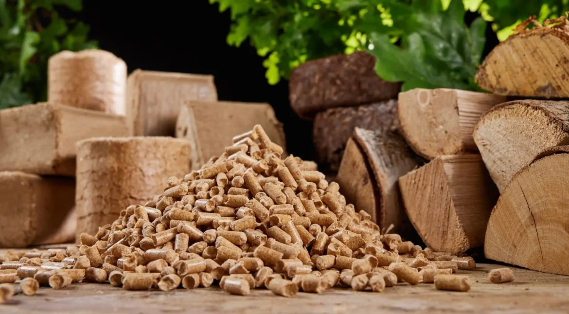 Variety of biomass fuel from SCG International