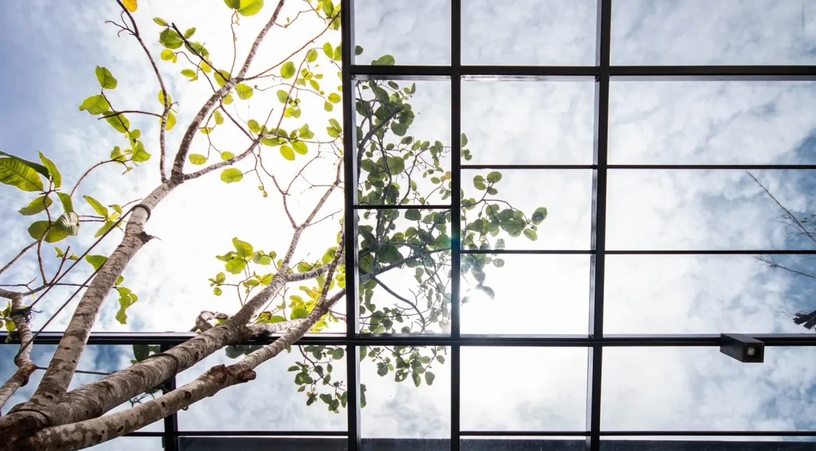 SCG Shinkolite Heat Cut Roof