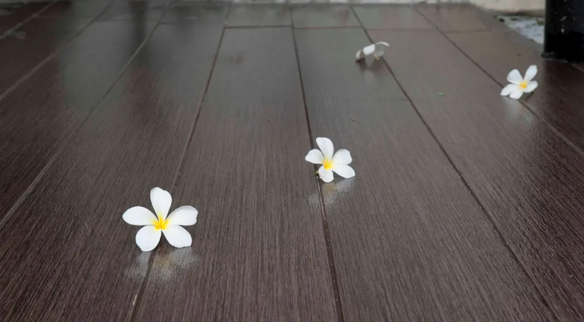 Wood Floor for Terrace