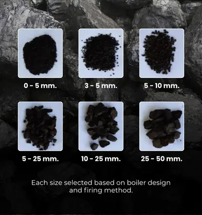 Screened coal supply by SCG International