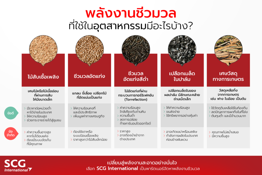 What types of biomass fuel are used in industries