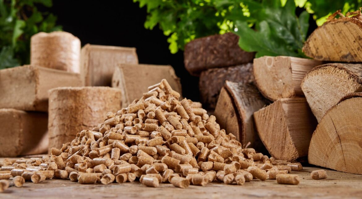 Variety of biomass fuel from SCG International