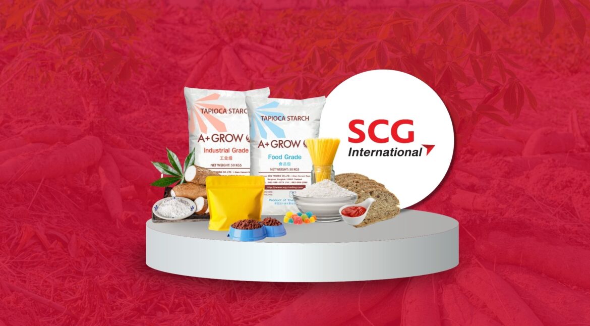 Tapioca and corn starch supplier from scg international