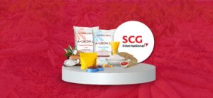 Tapioca and corn starch supplier from scg international