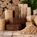How Does a Biomass Power Plant Work? A Complete Guide