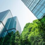How Cities and Mega-Projects Are Reshaping Sustainable Construction Materials