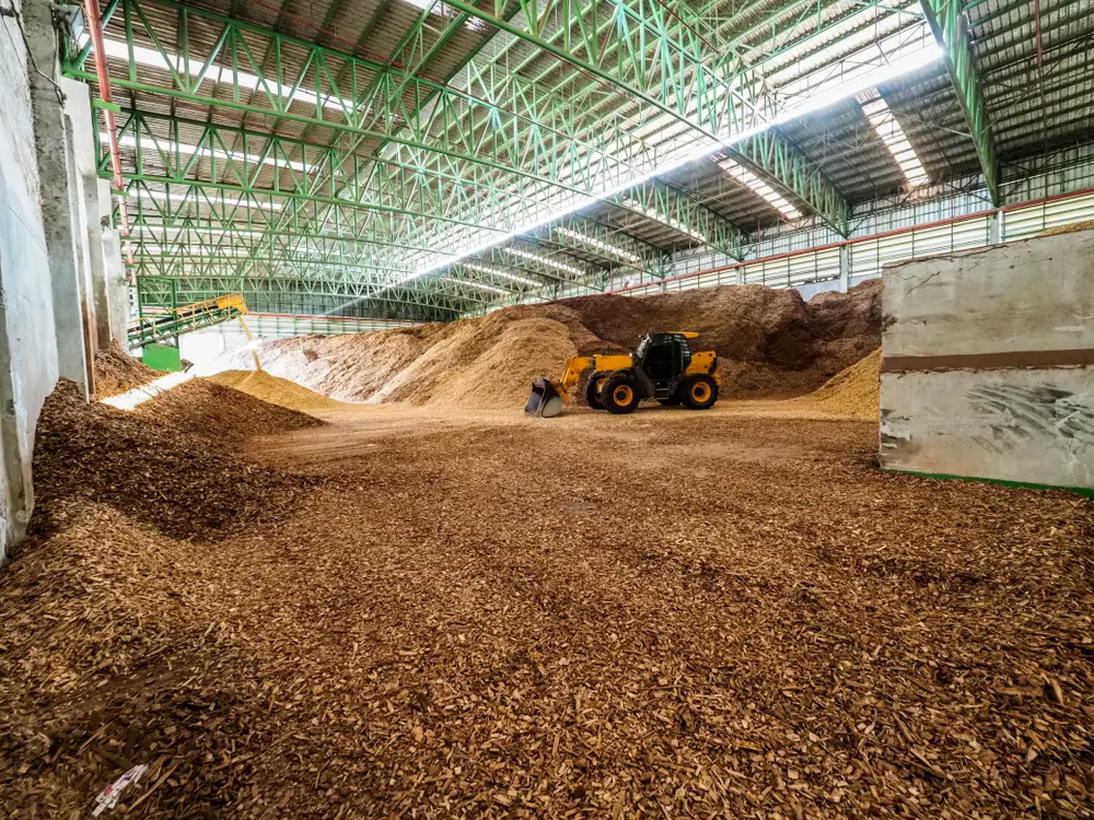 SCG International sources wood materials, such as wood chips, for biomass fuel use