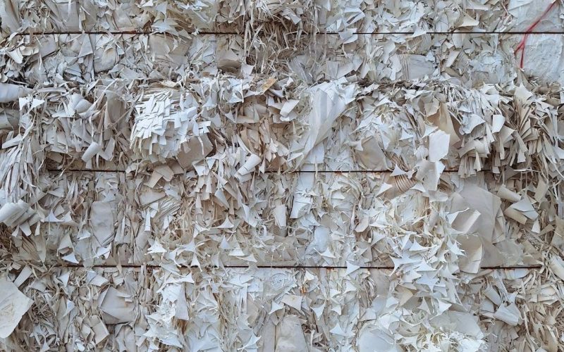 Cup stock supply by scg international