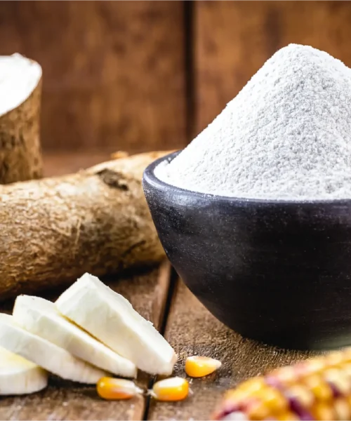 Quality corn and tapioca starch supplier from Asia